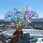 f5aa09adb0da126a5c349b412a317010d616b9e8-700