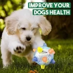 6c7d408036965b028588ca7a2cb42fa74ff9d545-600